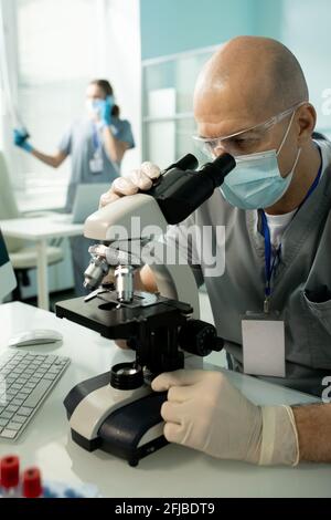 Dipendente concentrato di laboratorio calvo in occhiali e guanti in lattice seduto a tavola e lavorando con il microscopio durante la ricerca Foto Stock