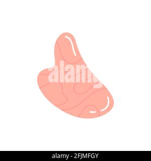 Strumento di massaggio raschiante Gua Sha Jade. Illustrazione Vettoriale