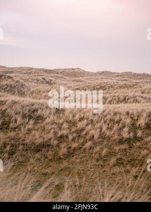 Dune di Ameland, isole Wadden nel nord dei Paesi Bassi. Vibes wanderlust pastello costieri. Foto Stock