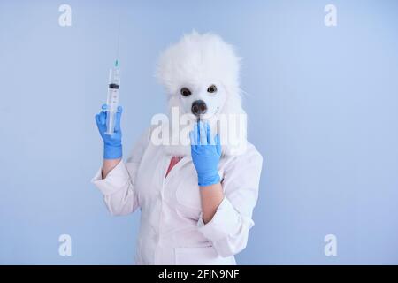Giovane donna in una maschera di testa di cane di lattice e cappotto bianco che tiene una siringa grande e ridacchia su uno sfondo blu. Concetti medici veterinari. Foto Stock