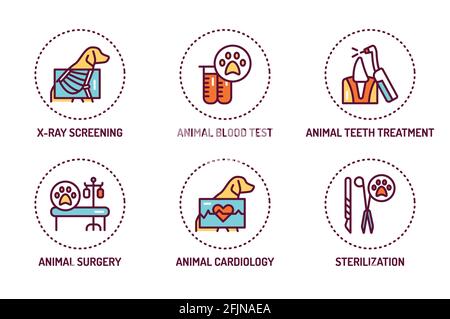 Set di icone della linea di colore di controllo degli animali. Elemento vettoriale isolato. Pittogrammi di contorno per pagina web, app mobile, promo. Illustrazione Vettoriale