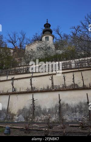 Praga, Repubblica Ceca - 23 aprile 2021 - il Grande Giardino di Fürstenberg in un pomeriggio di sole primavera vicino al Castello di Praga. Foto Stock