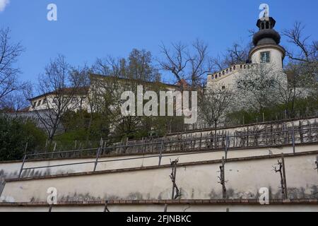 Praga, Repubblica Ceca - 23 aprile 2021 - il Grande Giardino di Fürstenberg in un pomeriggio di sole primavera vicino al Castello di Praga. Foto Stock