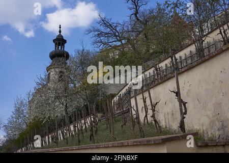 Praga, Repubblica Ceca - 23 aprile 2021 - il Grande Giardino di Fürstenberg in un pomeriggio di sole primavera vicino al Castello di Praga. Foto Stock