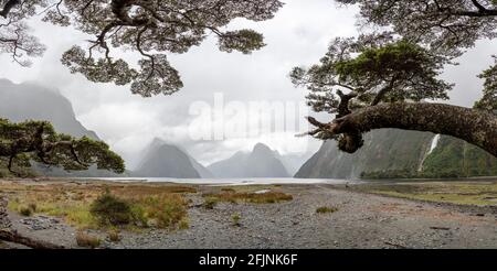 Magnifica vista panoramica di Milford Sound durante il tempo piovoso, Isola del Sud della Nuova Zelanda Foto Stock