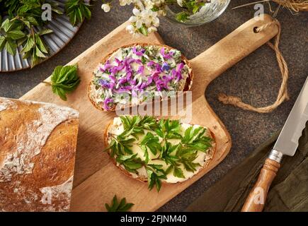 Pane di pasta con burro e foglie giovani di goutweed raccolte in primavera, ortica viola e fiori di lungwort Foto Stock