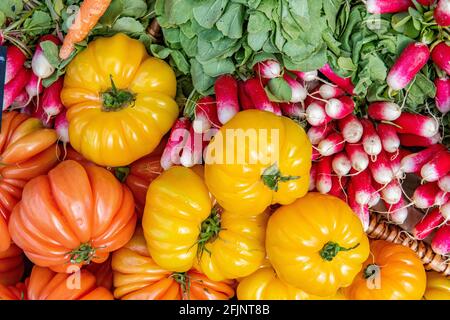 Pomodori e ravanelli del cuore della mucca di Freash Foto Stock