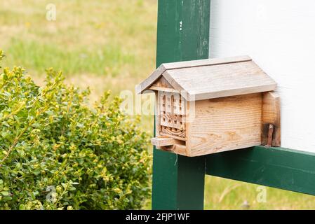 Scatola del nido d'ape in un giardino, che fornisce l'habitat per le api selvatiche Foto Stock
