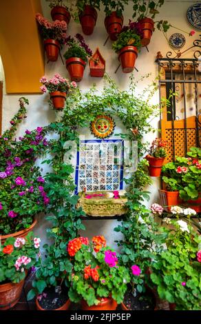 Fontana nel cortile decorato con fiori, gerani in vasi di fiori sulla parete della casa, Fiesta de los Patios, Cordoba, Andalusia, Spagna Foto Stock