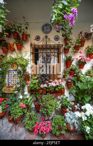 Finestra nel cortile decorata con fiori, gerani in vasi di fiori sulla  parete della casa, Fiesta de los Patios, Cordoba, Andalusia, Spagna Foto  stock - Alamy