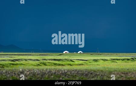 Fuori da una famiglia nomade mongolo in estate davanti alla pioggia, provincia di Arkhangai, Mongolia Foto Stock