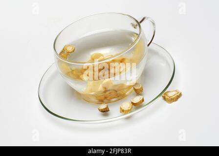 Tazza di tè ginseng, radice di ginseng, seng, Ginseng (ginseng Panax) Foto Stock