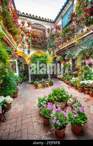 Patio decorato con fiori, gerani in vasi di fiori sulla parete della casa, Fiesta de los Patios, Cordoba, Andalusia, Spagna Foto Stock