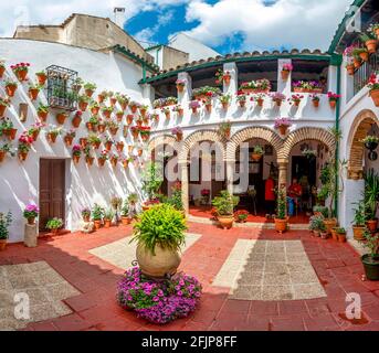 Patio decorato con fiori, gerani in vasi di fiori sulla parete della casa, Fiesta de los Patios, Cordoba, Andalusia, Spagna Foto Stock