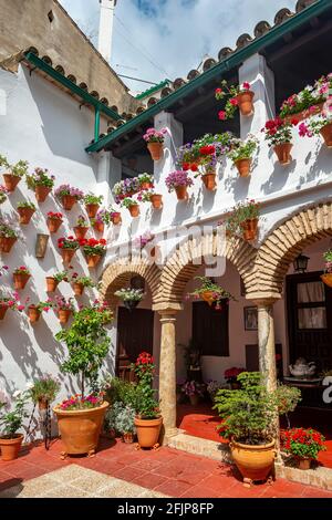 Patio decorato con fiori, gerani in vasi di fiori sulla parete della casa, Fiesta de los Patios, Cordoba, Andalusia, Spagna Foto Stock