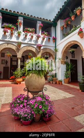 Patio decorato con fiori, gerani in vasi di fiori sulla parete della casa, Fiesta de los Patios, Cordoba, Andalusia, Spagna Foto Stock