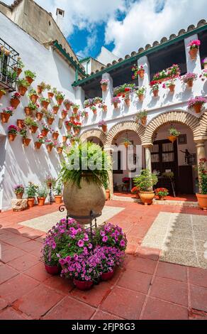 Patio decorato con fiori, gerani in vasi di fiori sulla parete della casa, Fiesta de los Patios, Cordoba, Andalusia, Spagna Foto Stock