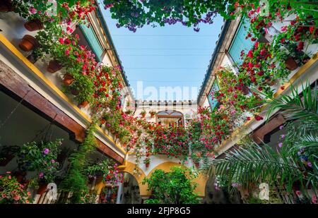 Patio decorato con fiori, gerani in vasi di fiori sulla parete della casa, Fiesta de los Patios, Cordoba, Andalusia, Spagna Foto Stock