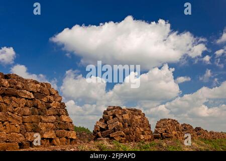 Torba sods, minerario, Goldenstedter Moor, bassa Sassonia, Germania Foto Stock