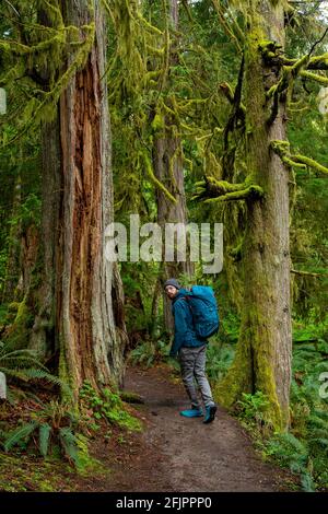 Escursioni sull'isola di Vancouver nella foresta lussureggiante di British Columbia vicino a Ladysmith con molti sentieri Foto Stock