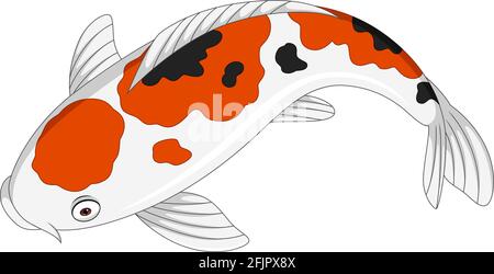 Cartoon carino koi pesce su sfondo bianco Illustrazione Vettoriale