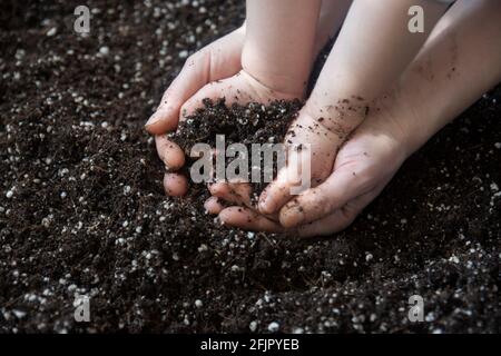 bambina e sua madre stanno preparando il terreno per piantare piante ornamentali in pentole. Mani di messa a fuoco selettiva Foto Stock