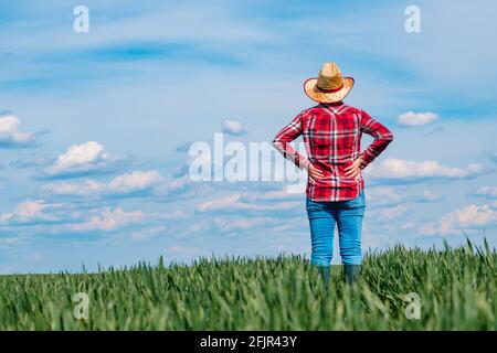 Femmina contadina in piedi in campo di grano verde con le mani sulle anche, vista posteriore, fuoco selettivo Foto Stock