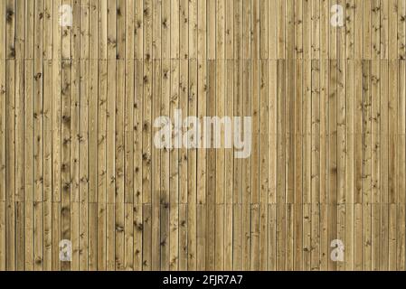 vecchio muro di legno con chiodi. sfondo astratto di vecchi pannelli di legno. assi verticali di legno Foto Stock