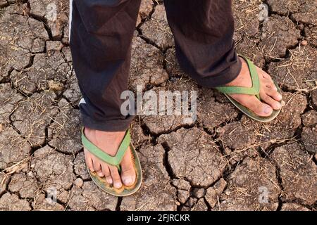 Piedi maschi con pantofole su terra asciutta. Concetto di scarsità d'acqua Foto Stock