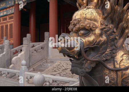 Statua del leone d'oro nella città Proibita, Pechino, Cina Foto Stock