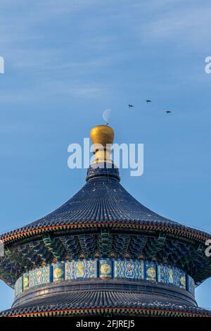 Primo piano vista dell'edificio nel Tempio del Paradiso contro il cielo blu, il punto di riferimento di Pechino, cina Foto Stock