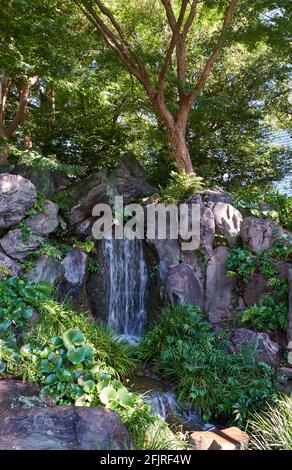 Cascata nel tradizionale ambiente del giardino giapponese semi-nascosto all'ombra presso l'Imperial Palace East Gardens. Tokyo. Giappone Foto Stock