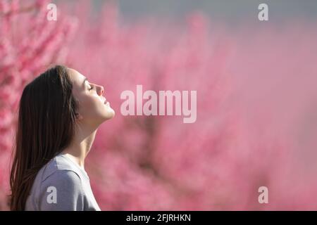 Profilo di una donna rilassata che respira aria fresca in un campo rosa di alberi di pesche Foto Stock