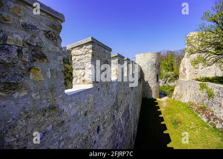 Il castello di Pfeffingen è un castello situato nel comune di Pfeffingen, nel Cantone di Basilea-Campagna, in Svizzera. Patrimonio svizzero di significano nazionale Foto Stock