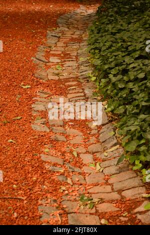 pavimenti in mattoni, pavimenti e foglie. sfondo e struttura di 3 superfici diverse. In un parco nella città di Buenos Aires Foto Stock