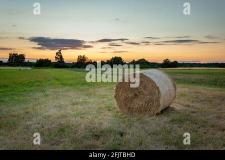 Fieno balla nel prato e il cielo serale, Nowiny, Lubelskie, Polonia Foto Stock