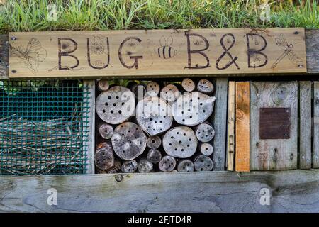 Bug Hotel, Caerlaverock Wildfowl & Wetland Trust Reserve, Dumfries & Galloway, Scozia Foto Stock