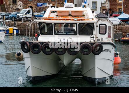 North Berwick, East Lothian, Scozia, Regno Unito, 26 aprile. Riaprire le aziende: Con le restrizioni di blocco attenuate oggi, lo Scottish Seabird Center prima gita turistica in barca da crociera si svolge dall'anno scorso. Il catamarano SEAFARI Explorer preleva per la prima volta quest'anno 13 passeggeri: Ha una capacità massima di 30 persone a causa delle restrizioni al momento in cui naviga fuori dal porto Foto Stock