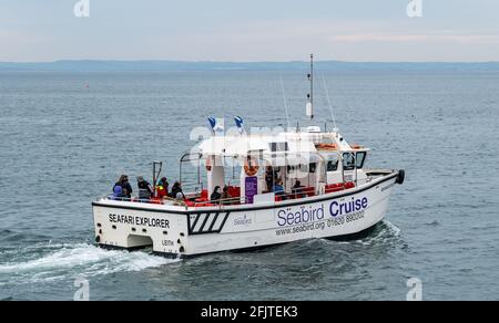 East Lothian, Scozia, Regno Unito, 26 aprile. Riaprire le aziende: Con le restrizioni di blocco attenuate oggi, lo Scottish Seabird Center prima gita turistica in barca da crociera si svolge dall'anno scorso. Il catamarano SEAFARI Explorer porta 13 passeggeri nel Firth of Forth per la prima volta quest'anno (su un massimo di 30 possibili con le attuali restrizioni) Foto Stock