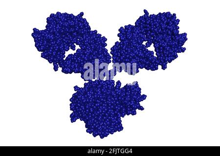 Immunoglobulina IgG1 anticorpo monoclonale molecola di glicoproteina 3D rende la struttura chimica Foto Stock