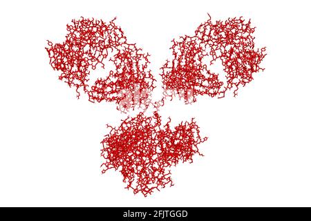 Immunoglobulina IgG1 anticorpo monoclonale molecola di glicoproteina 3D rende la struttura chimica Foto Stock