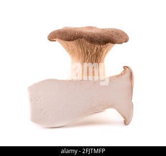 Fungo di ostrica del re isolato su sfondo bianco. Fungo del Pleurotus eryngii. Foto Stock