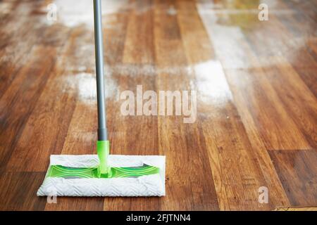 Tempo della famiglia. Closeup su mop e pavimento bagnato nella casa moderna in giornata di sole. Foto Stock