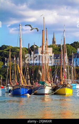 France, Finistère (29), Douarnenez, voiliers et vieux gréements en baie de Douarnenez sur le port du Rosmeur, festival Maritime Temps Fête 2018 Foto Stock