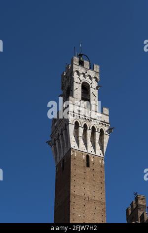 Italia, Toscana, la Torre del Mangia a Siena Foto Stock