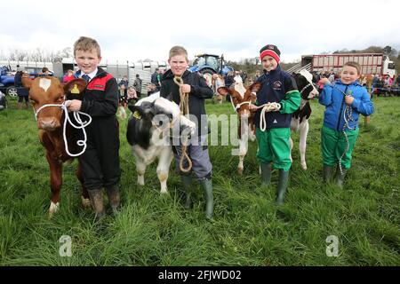 Ochiltree , Ayrshire, Scozia, Regno Unito 25 aprile 2018. Annuale mostra agricola Champion vitello entrys L-r : Andrew Dunlop, Jack Morton, James Hunter & Jamie Morton Foto Stock