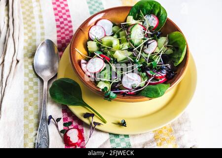 Insalata vegetariana primaverile con rafano, cetriolo, spinaci e micrograni Foto Stock