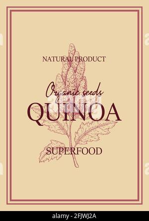 Confezione in quinoa con elemento disegnato a mano. Illustrazione vettoriale nello stile di schizzo Illustrazione Vettoriale