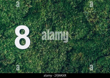 8 marzo. Buona giornata delle donne. Ecologia, zero sprechi. Erba verde e cifra otto 8. Biglietto di auguri per compleanno. Concetto di anniversario. Vista dall'alto. Numero bianco Foto Stock