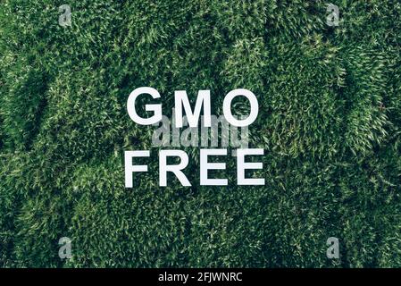 Iscrizione GMO LIBERA su muschio, sfondo verde erba. Vista dall'alto. Spazio di copia. Banner. Concetto di biofilia. Natura sfondo. Organismo geneticamente modificato Foto Stock